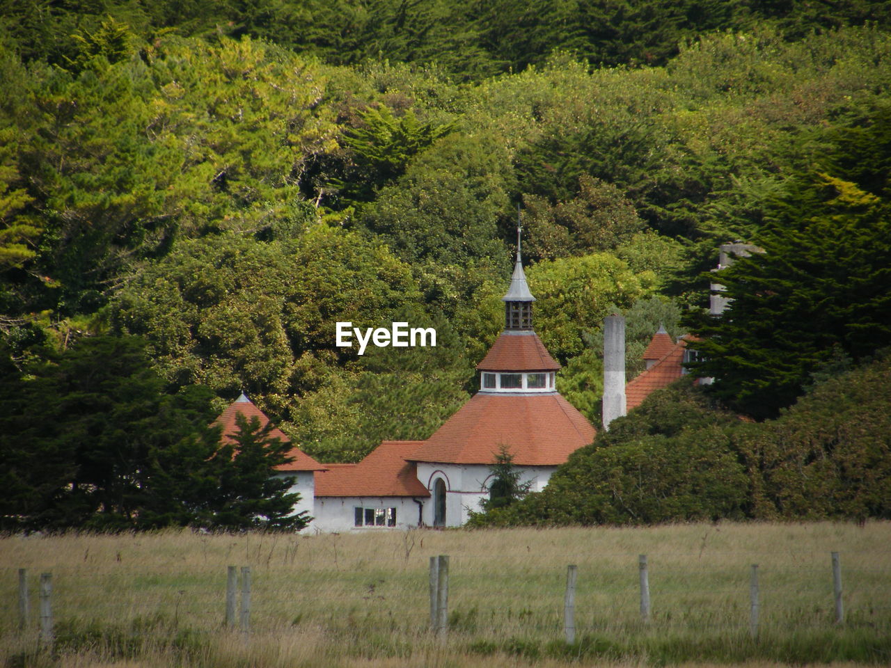 VIEW OF TREES AND CROSS