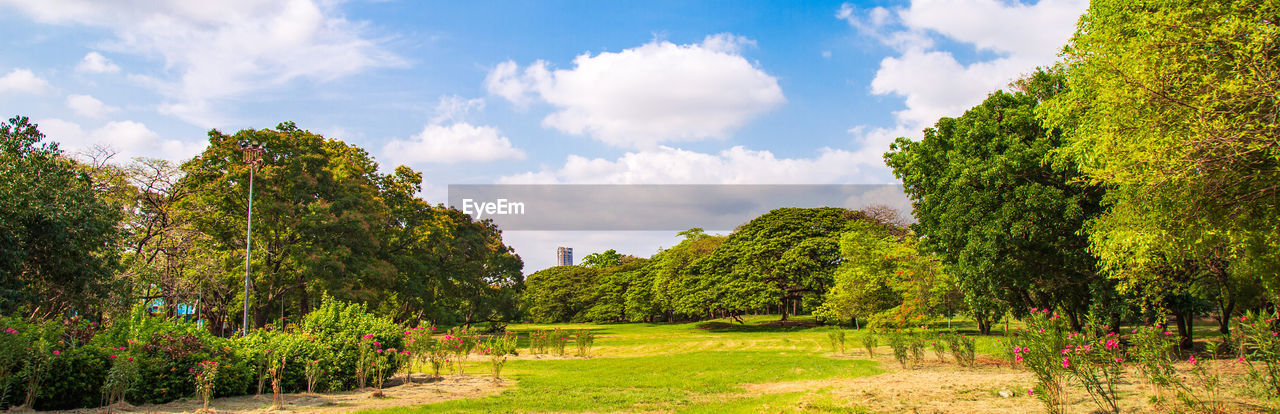 Panoramic shot of trees on field against sky