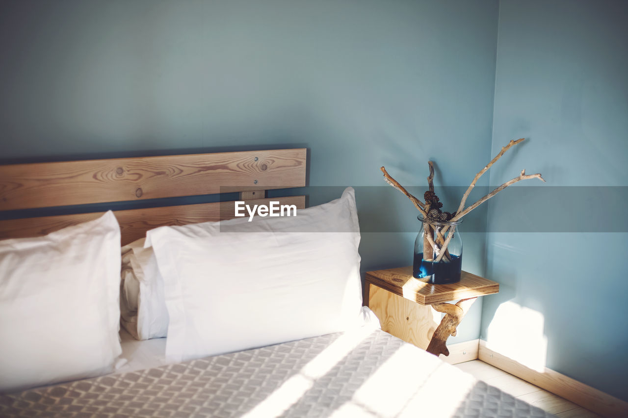 potted plants on bed at home