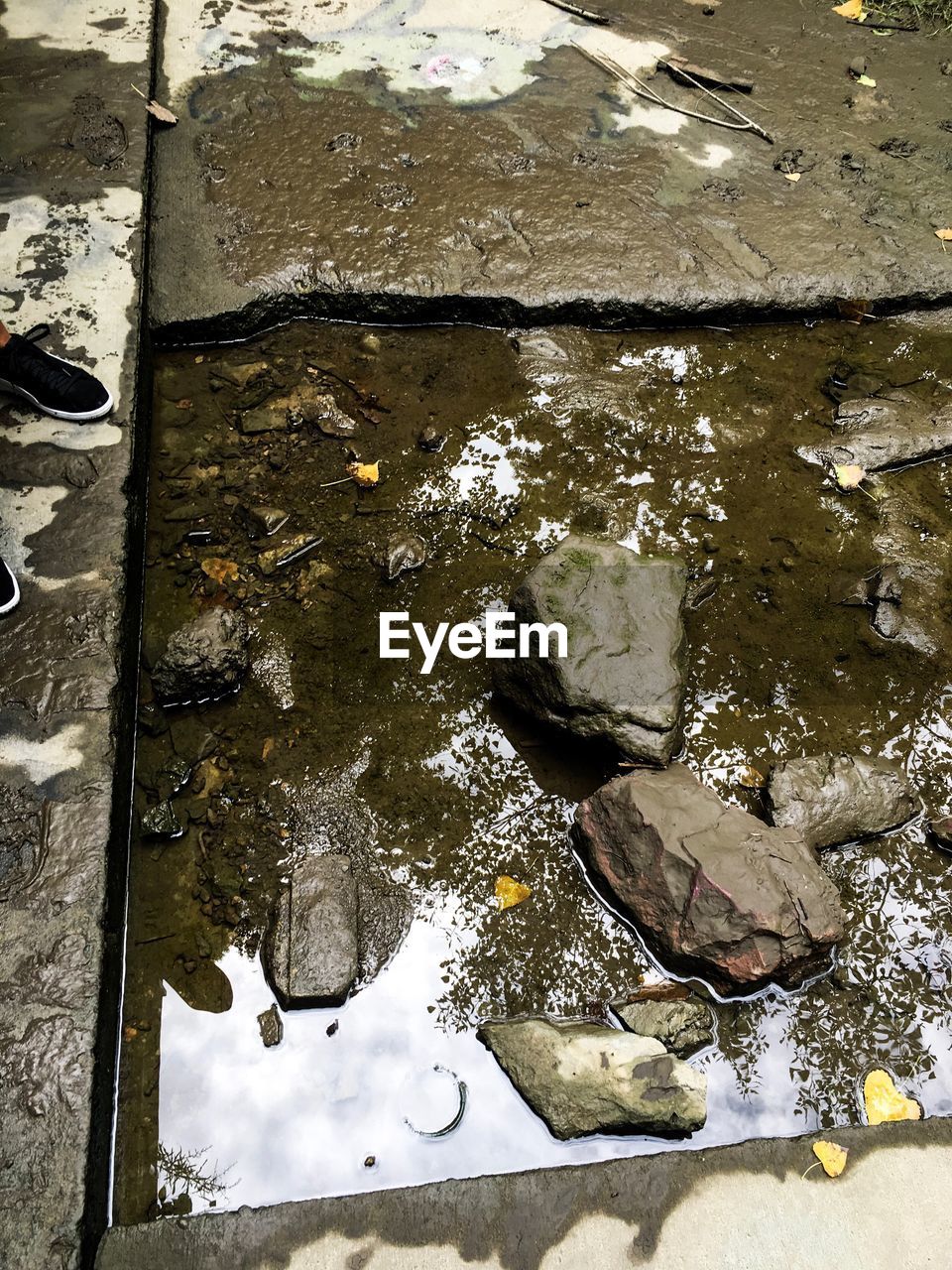 HIGH ANGLE VIEW OF PUDDLE IN WATER