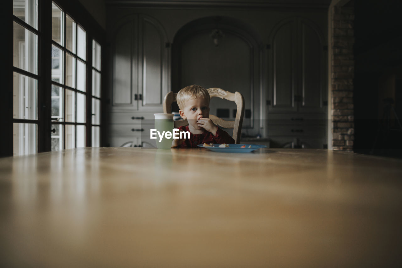 Portrait of baby boy eating food while sitting on chair at home