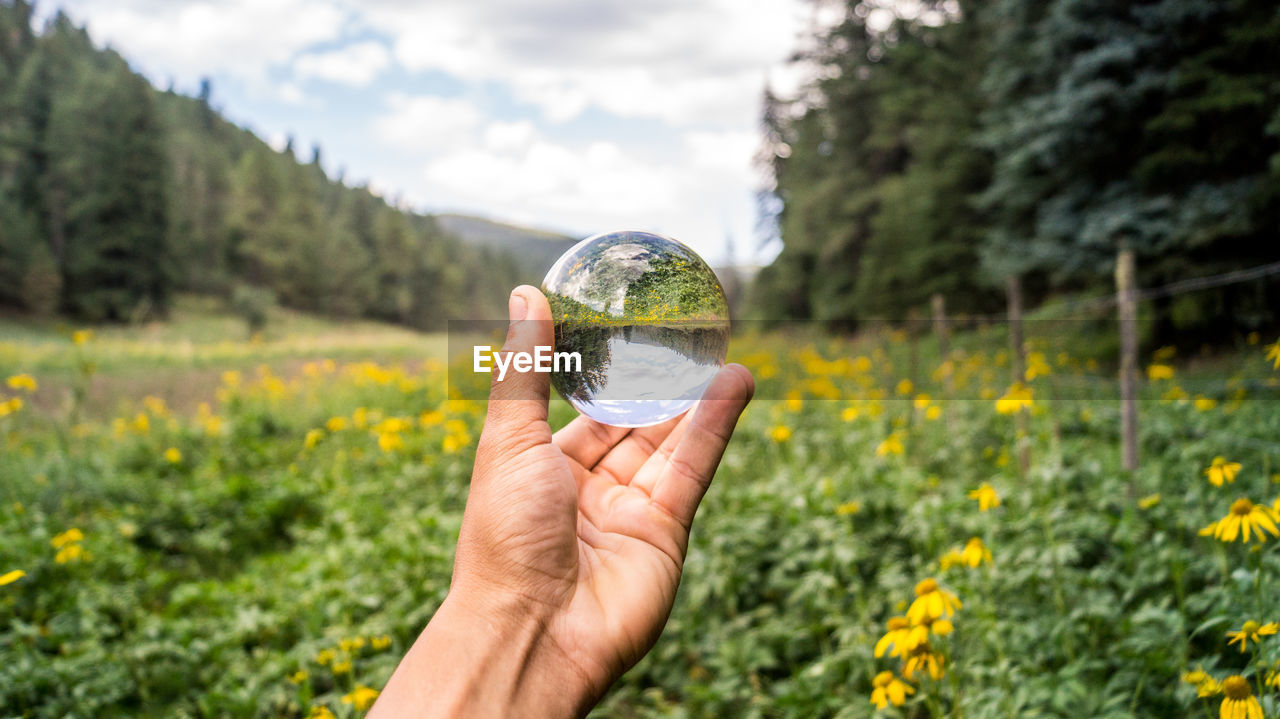 Cropped hand holding crystal ball on field