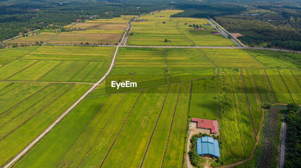 AERIAL VIEW OF AGRICULTURAL FIELD
