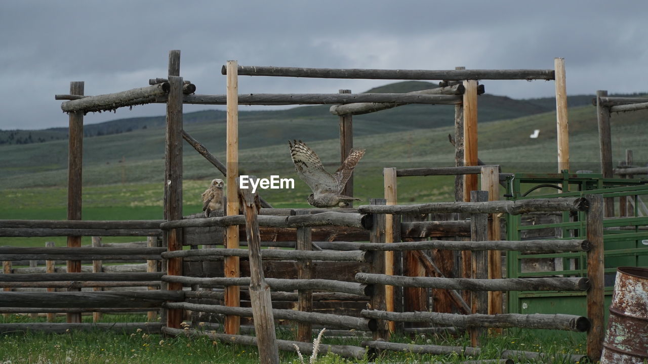 METAL FENCE ON FIELD AGAINST SKY