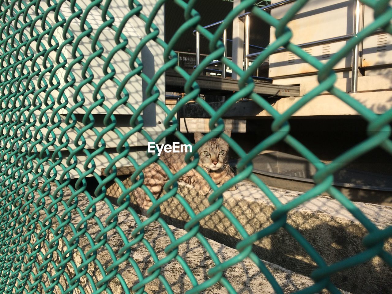 FULL FRAME SHOT OF CHAINLINK FENCE WITH METAL GRATE