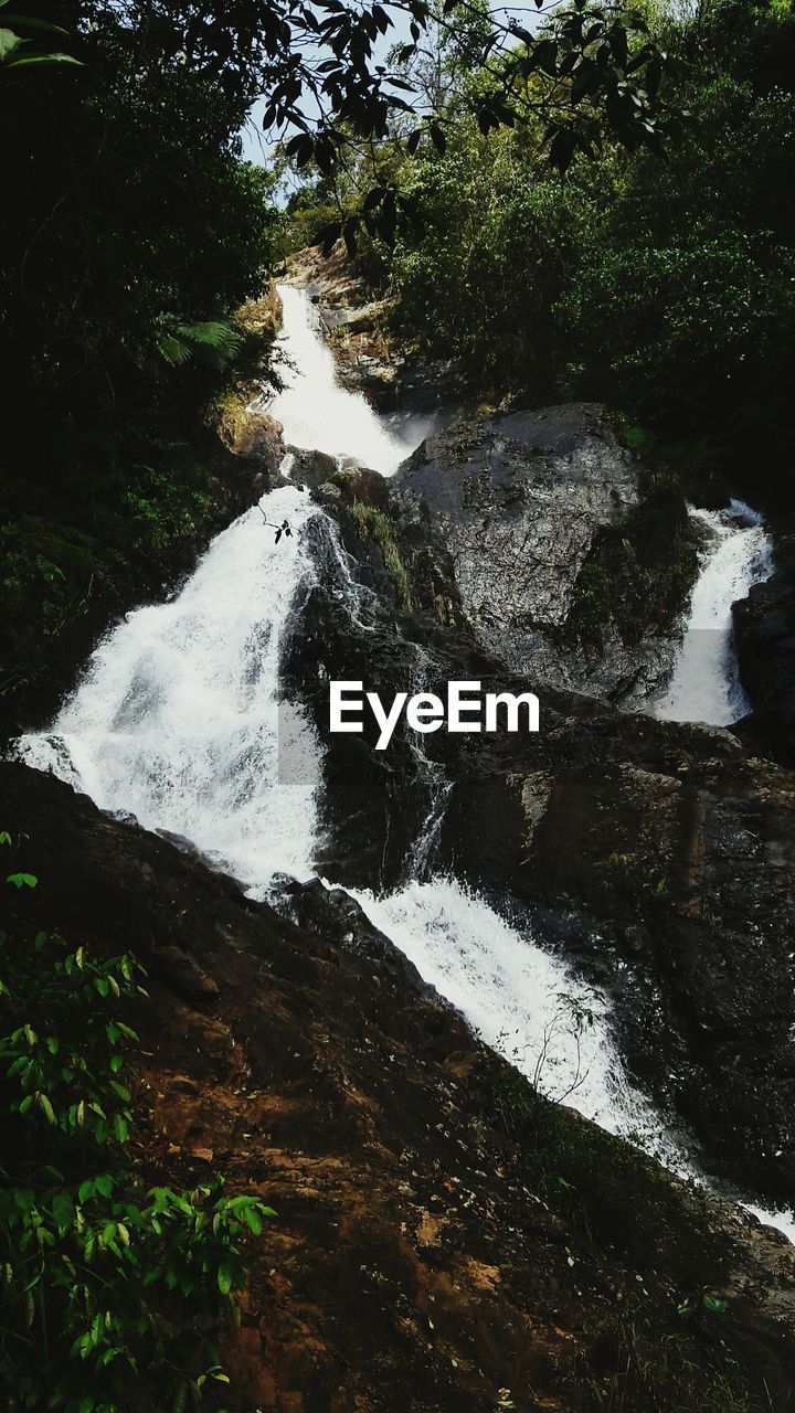 HIGH ANGLE VIEW OF RIVER FLOWING THROUGH FOREST