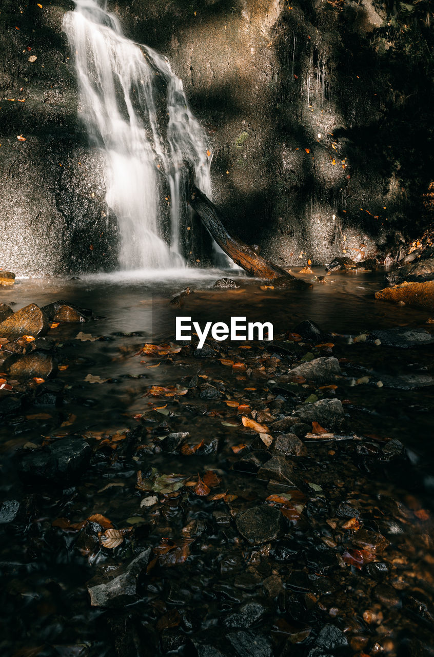 Scenic view of waterfall in forest