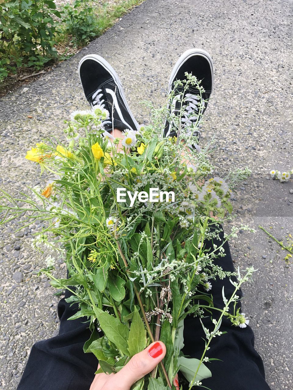 LOW SECTION OF PERSON STANDING BY FLOWER PLANTS