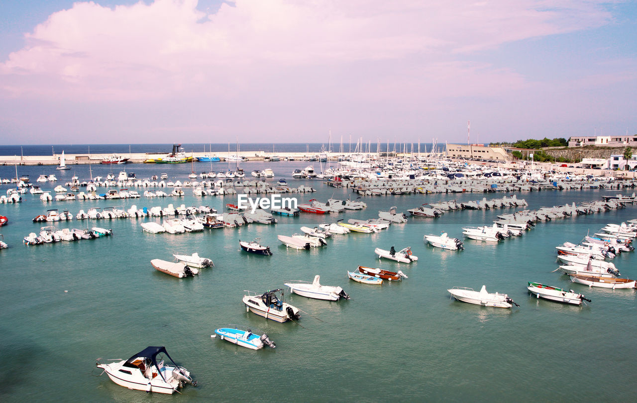 High angle view of sailboats moored in marina