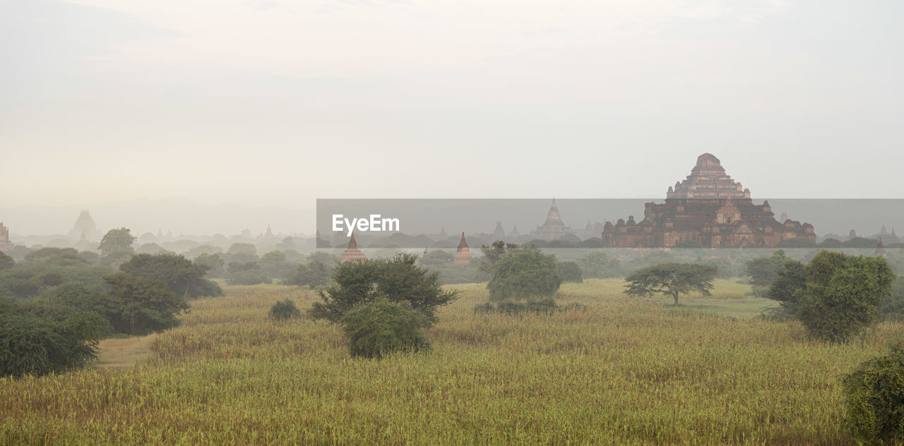 Panoramic view of the dhammayangyi temple (old bagan), during sunrise