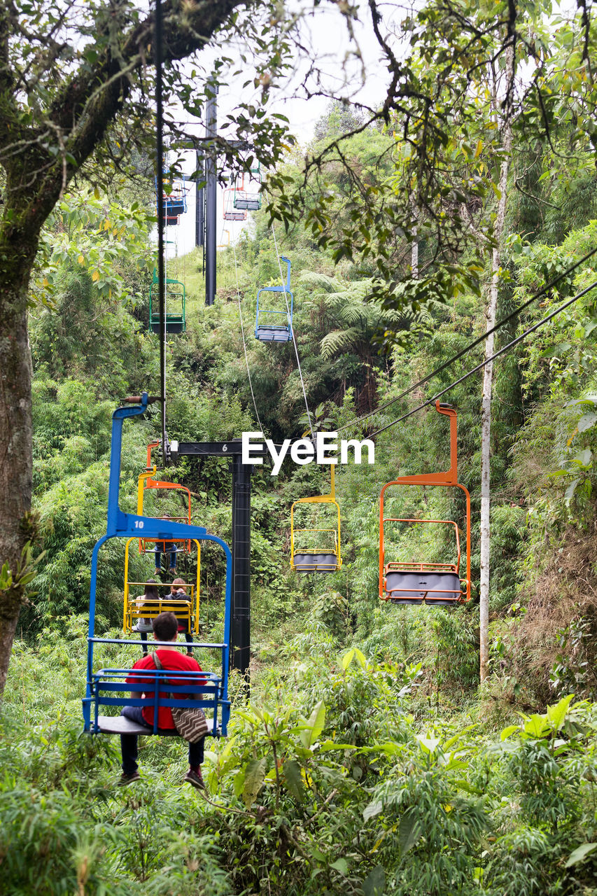 CLOTHES HANGING IN FOREST