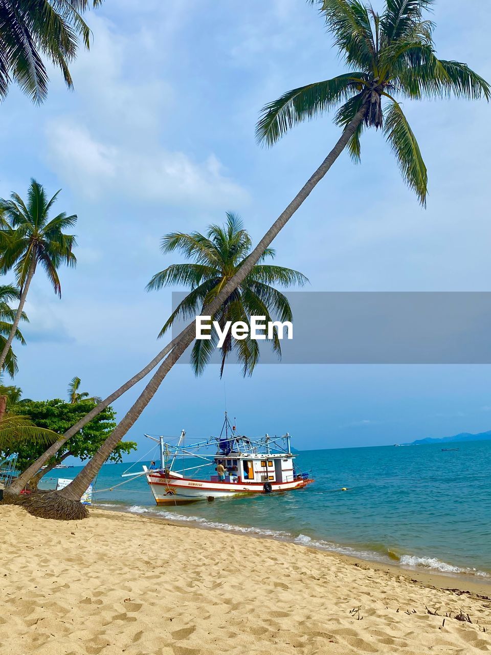 tropical climate, water, palm tree, sea, beach, land, tree, sky, nature, sand, vacation, travel, holiday, trip, coconut palm tree, plant, travel destinations, beauty in nature, nautical vessel, scenics - nature, body of water, ocean, island, transportation, tropics, shore, tranquility, tropical tree, tourism, tranquil scene, idyllic, coast, mode of transportation, cloud, outdoors, blue, day, tourist resort, bay, horizon over water, coastline, environment, summer, tourist, relaxation, sunlight, seascape, horizon, water's edge, coconut, lagoon, landscape, sunny, non-urban scene, honeymoon
