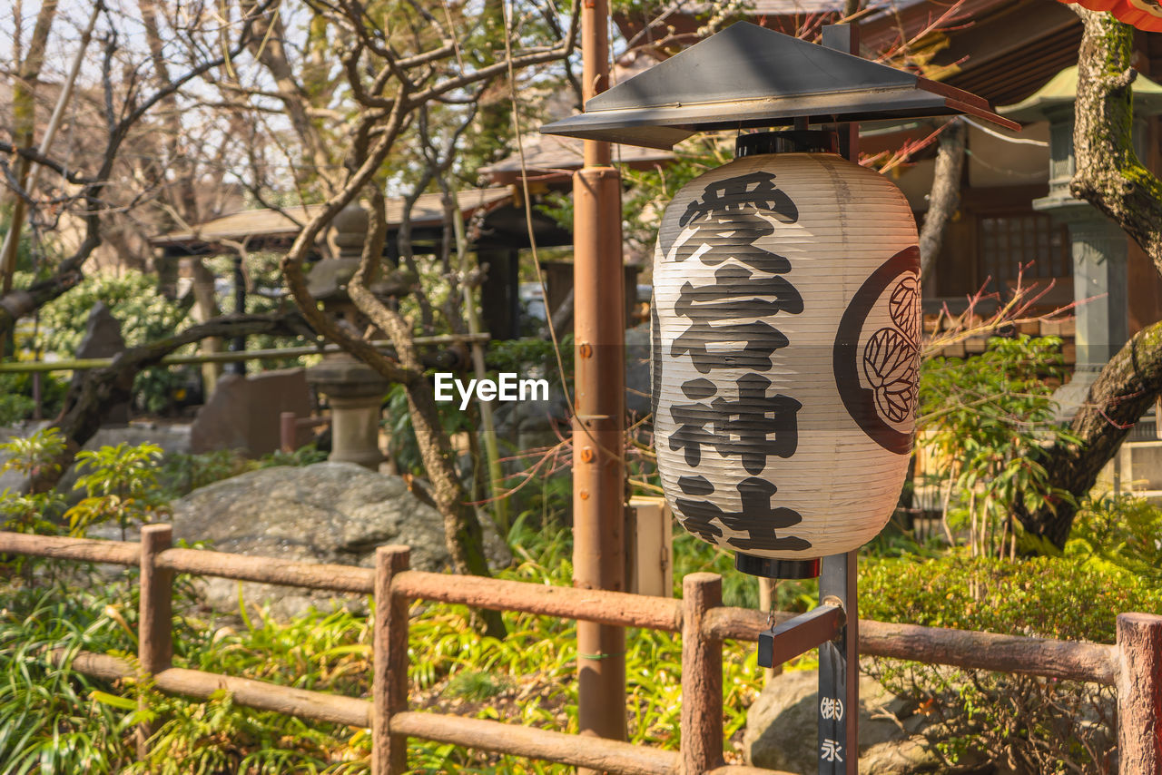 VIEW OF TEXT ON PLANT IN PARK