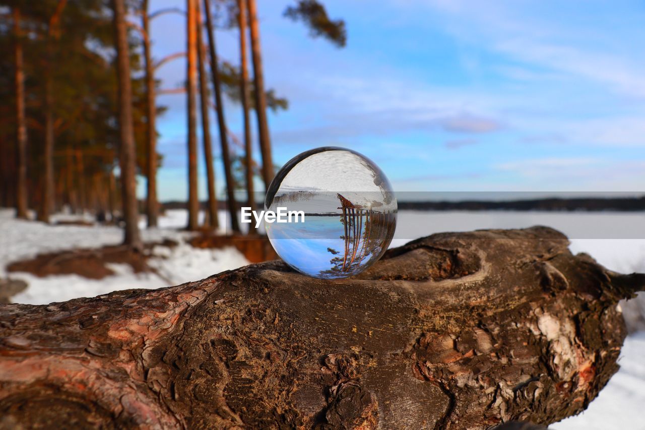 Close-up of crystal ball with reflection of snow covered field 