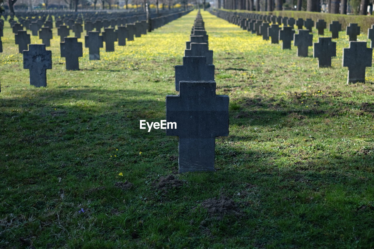 Crosses in row on grass at cemetery