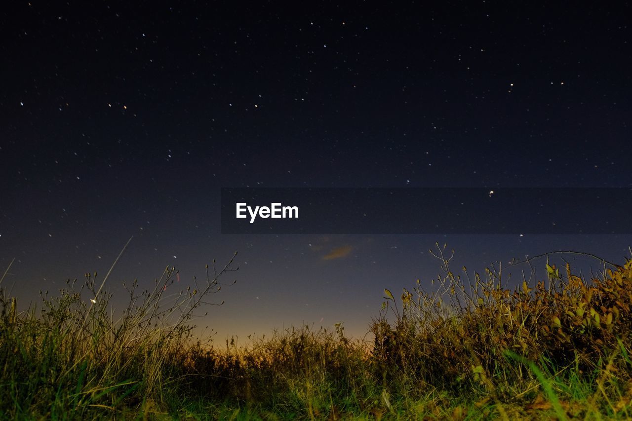 Scenic view of field against sky at night