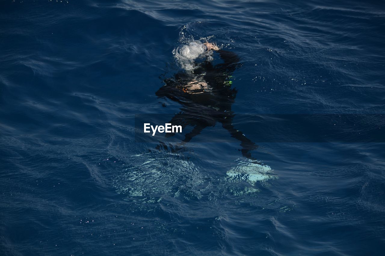 High angle view of person swimming in sea