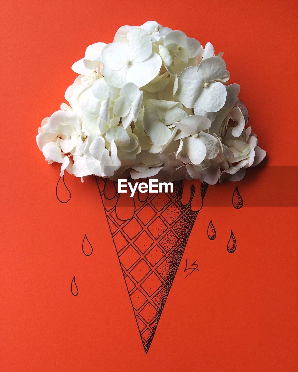 Close-up of white magnoila flowers on top of icecream cone drawing