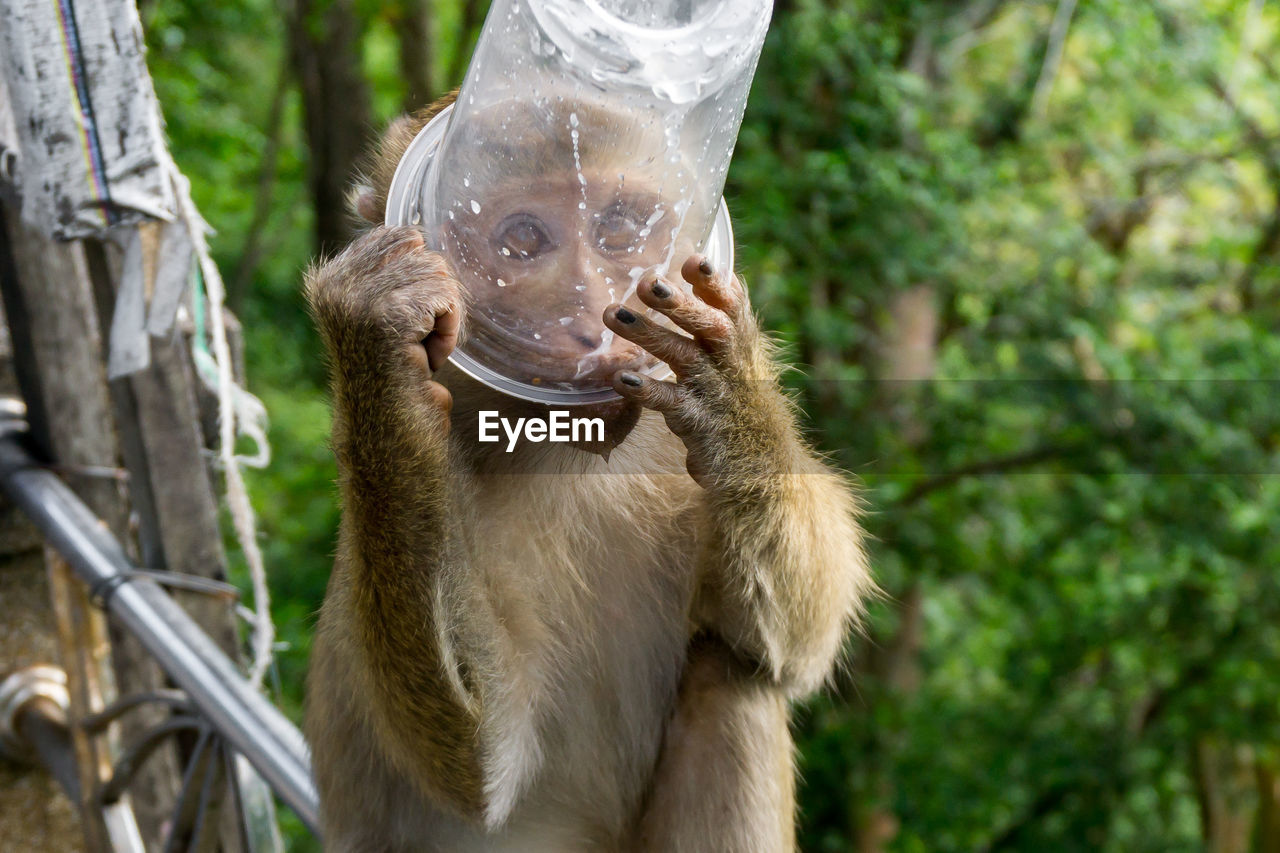 MIDSECTION OF MAN WEARING MASK