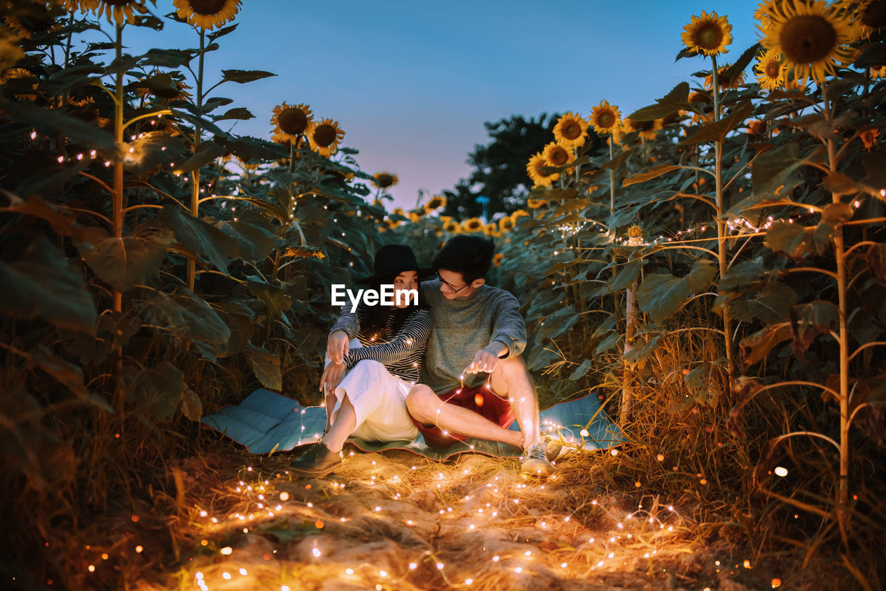 Couple sitting in illuminated sunflower field