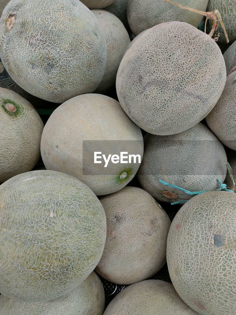 Fruit melon