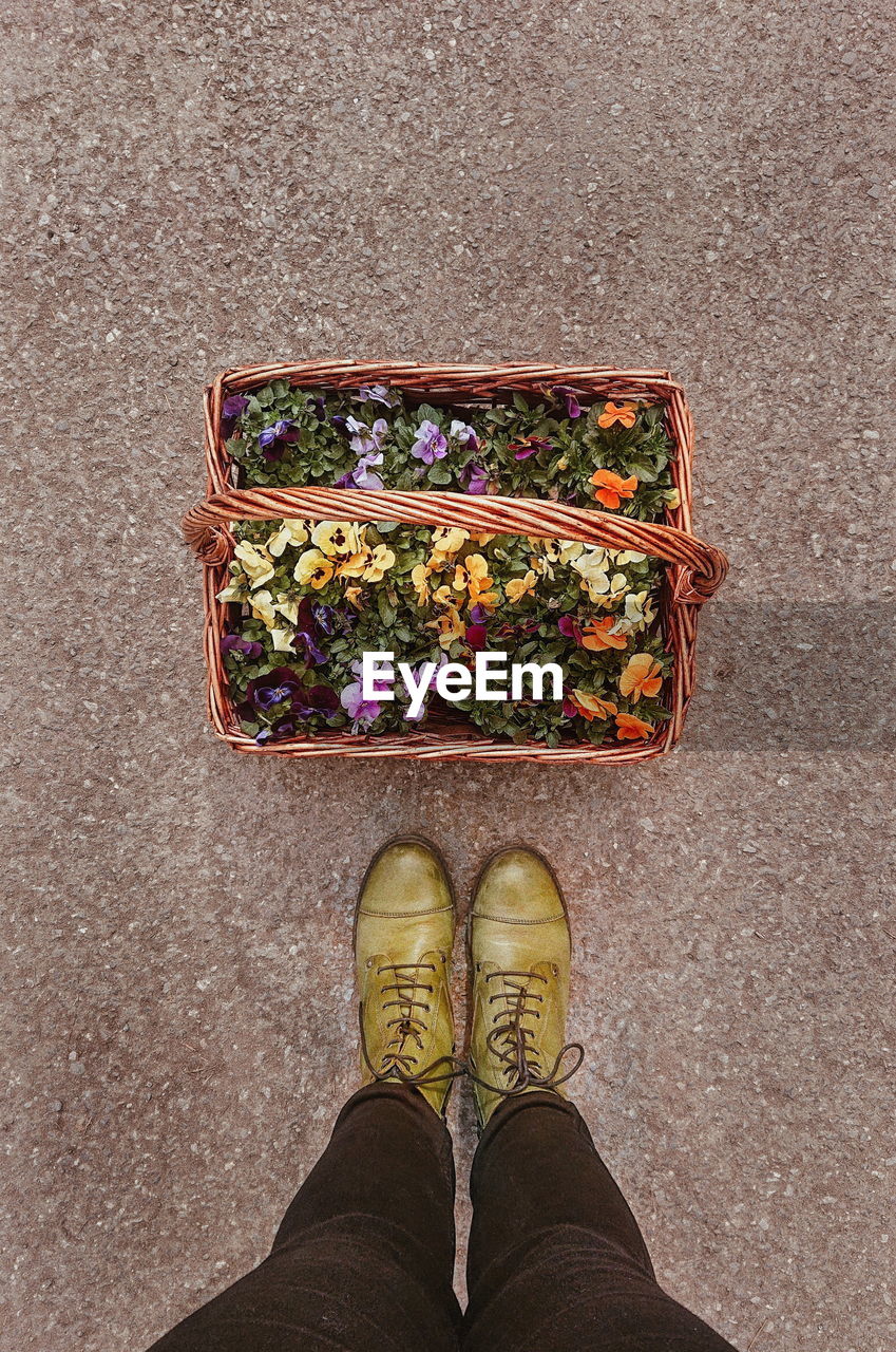 Low section of man standing by flower basket on street