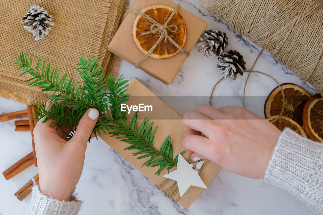 Cropped hands of woman holding christmas tree