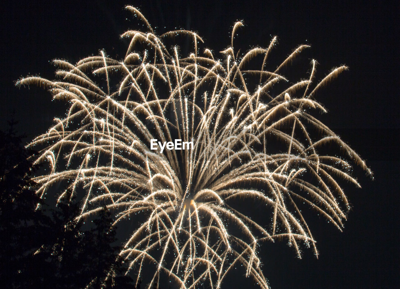 LOW ANGLE VIEW OF FIREWORKS IN SKY AT NIGHT