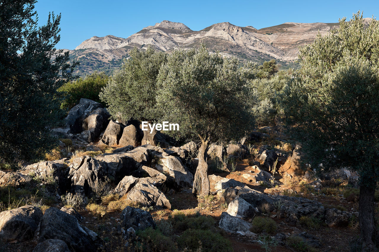 VIEW OF ROCK FORMATIONS