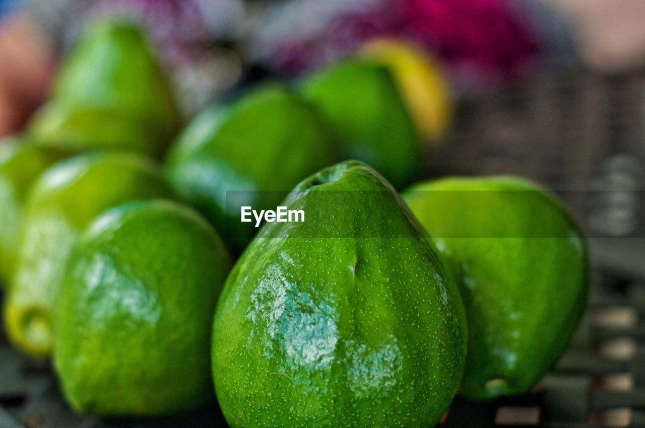 Close-up of avocado fruits in market