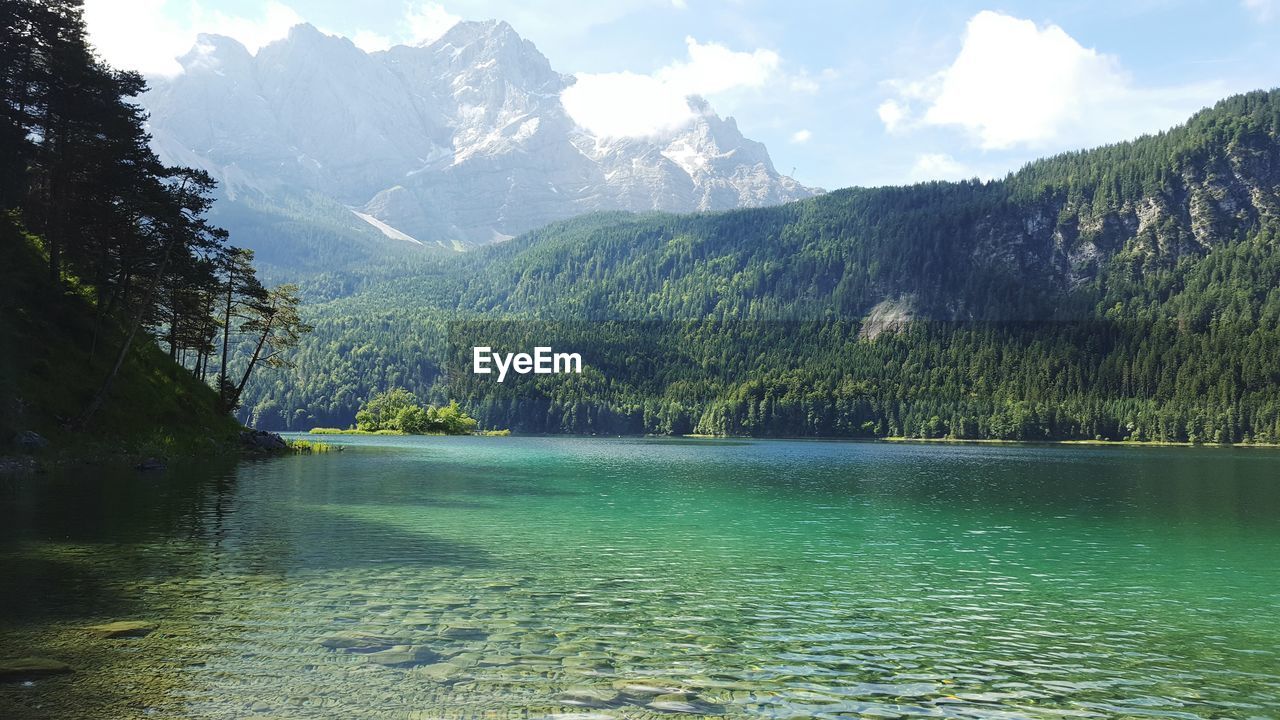 Scenic view of lake by trees against sky