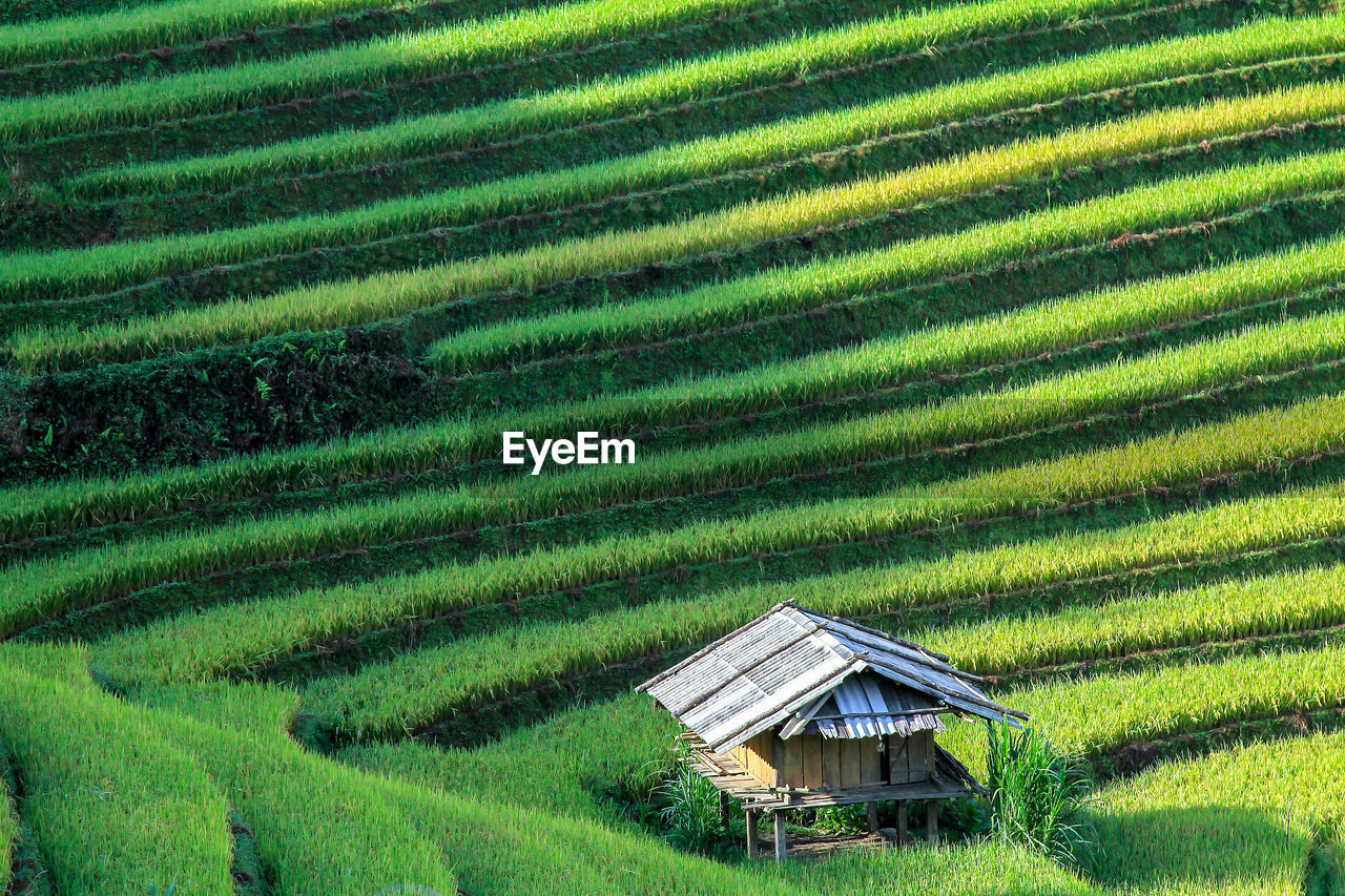 SCENIC VIEW OF FARM FIELD