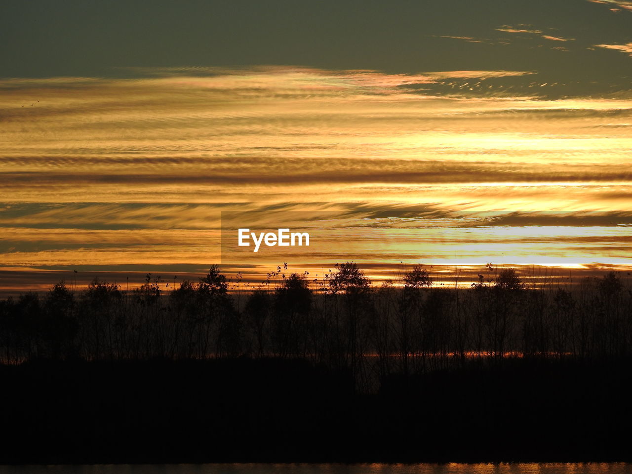 SILHOUETTE TREES AGAINST SKY DURING SUNSET