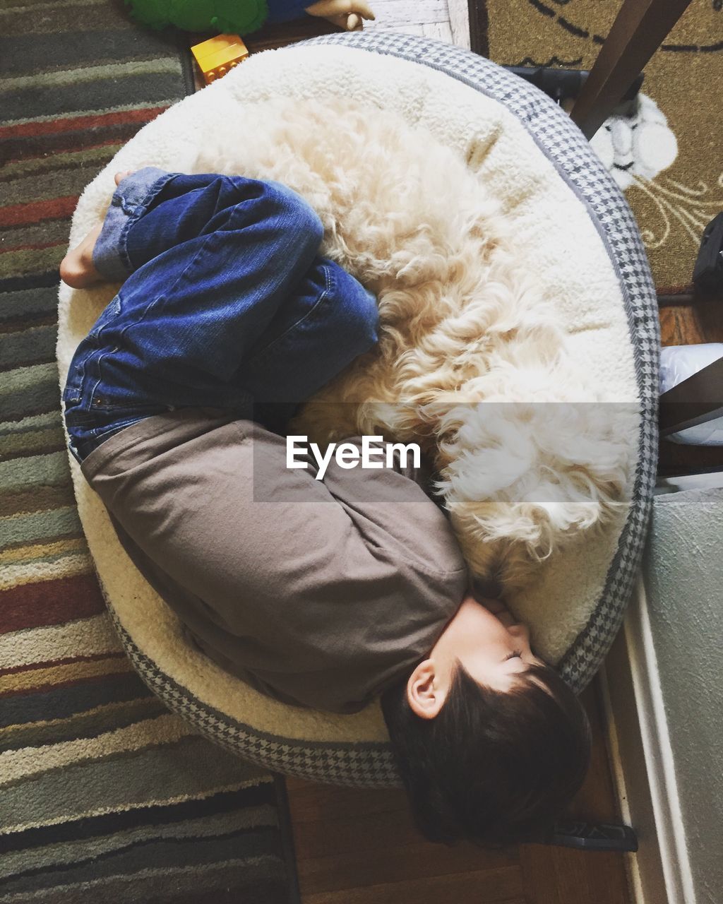 High angle view of boy sleeping with dog on pet bed at floor