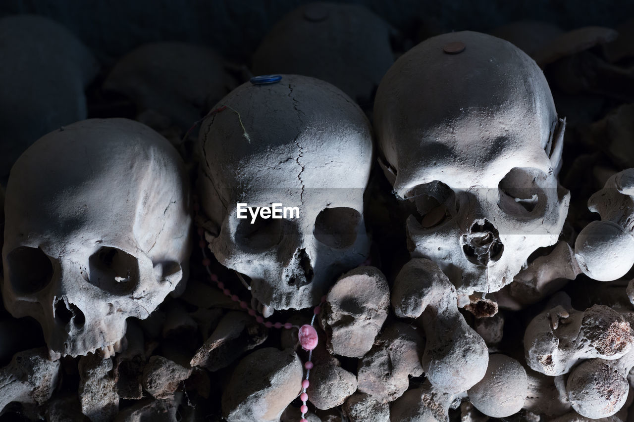 High angle view of human skulls at fontanelle cemetery