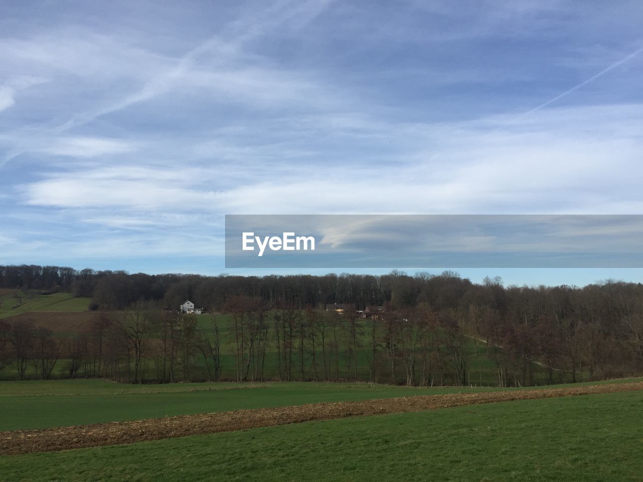 SCENIC VIEW OF TREES ON FIELD AGAINST SKY