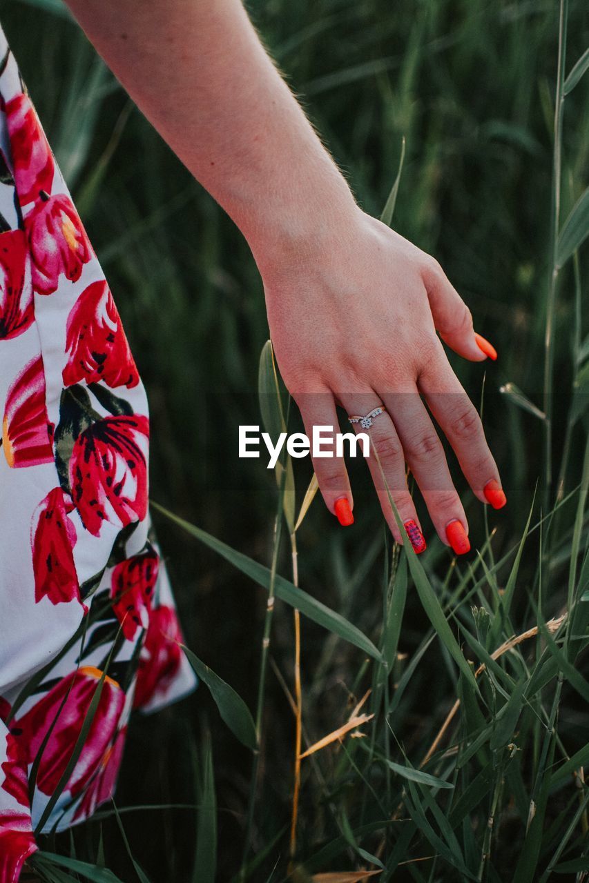 Cropped hand of woman touching plants