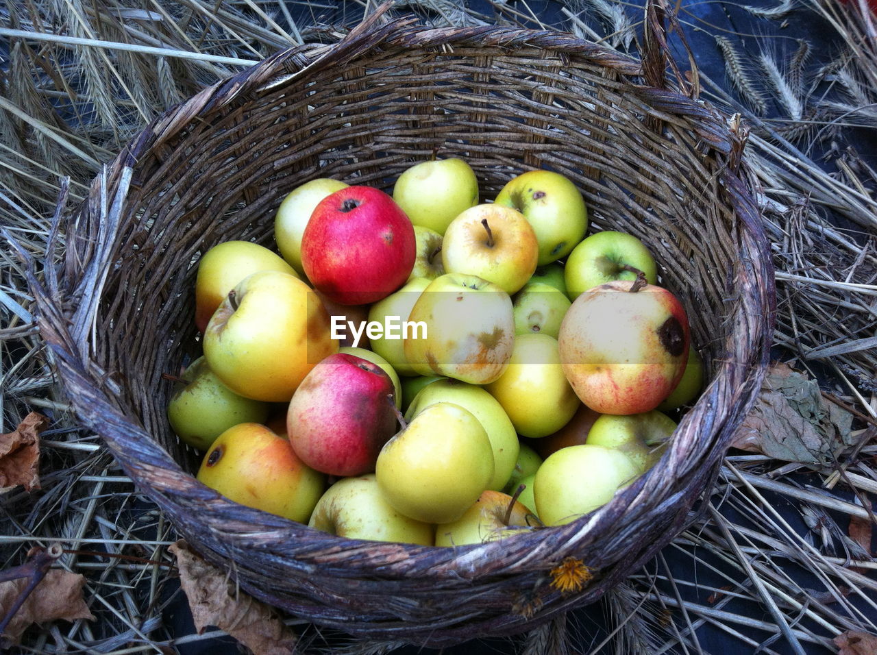 High angle view of apples in wicker basket