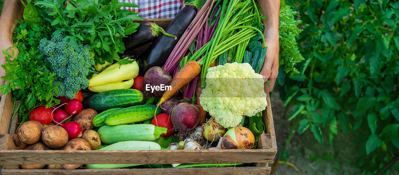 vegetables for sale