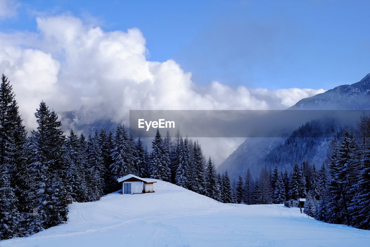 Cottage on snow covered field amidst trees against sky