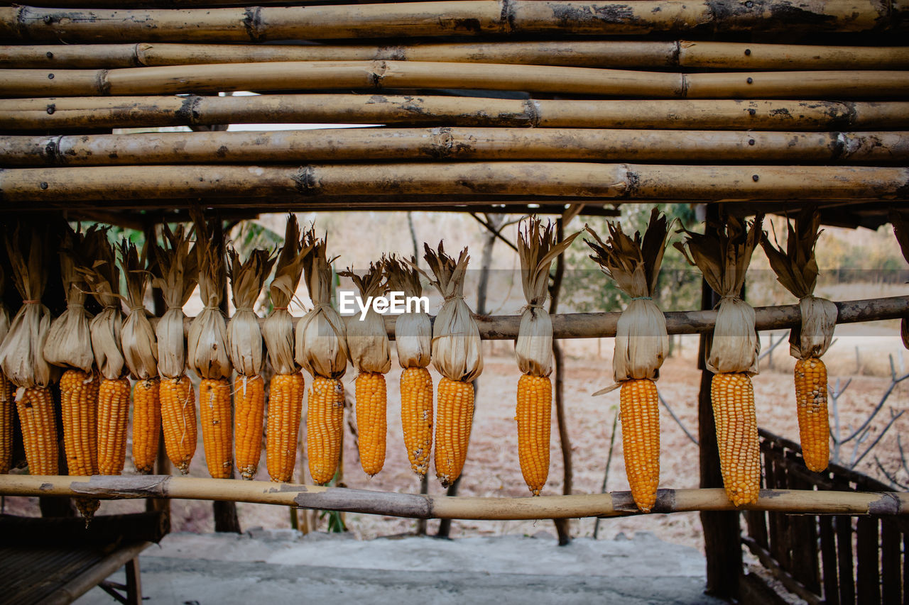 CLOTHES DRYING ON WOOD