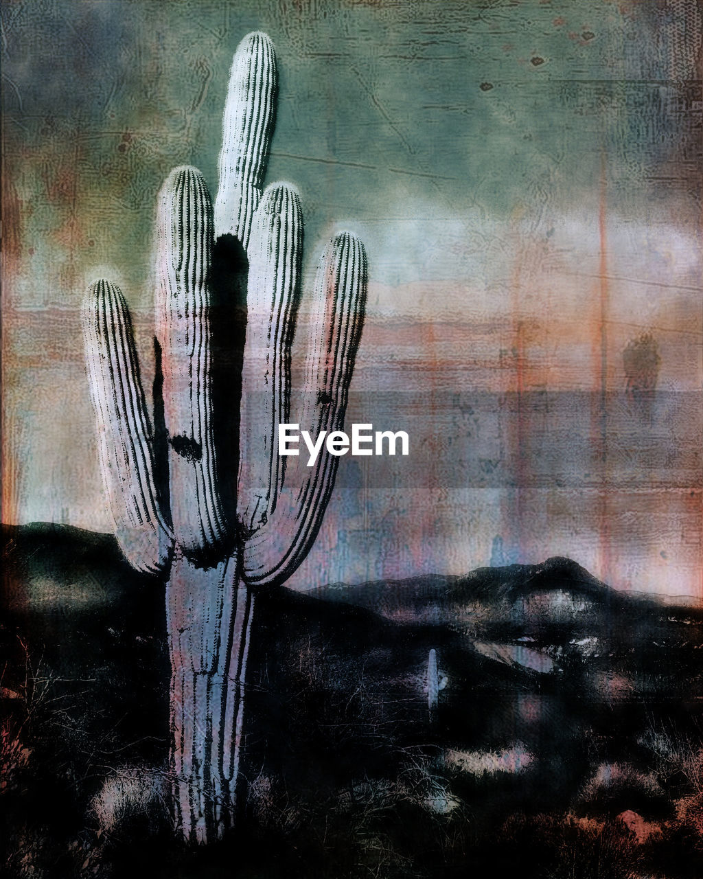 CLOSE-UP OF WATER DROPS AGAINST THE SKY