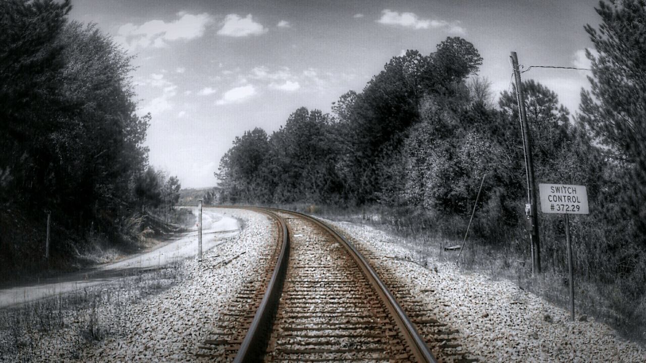 Desaturated view of trees and rusted railroad track