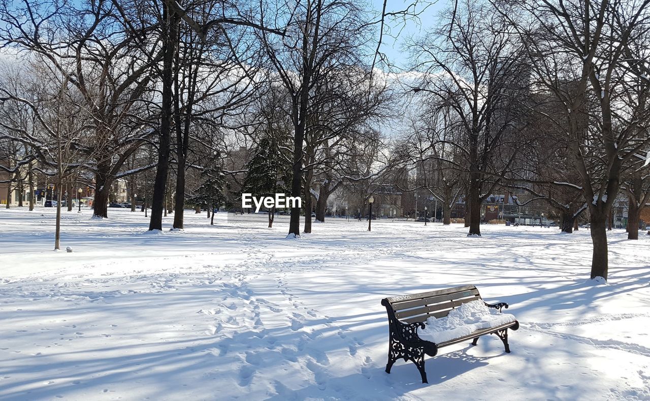 EMPTY BENCHES ON SNOW COVERED FIELD