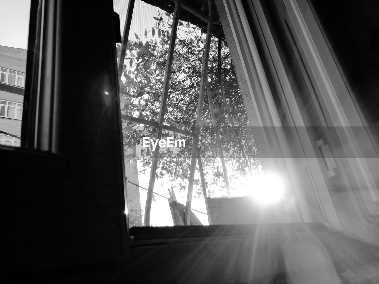 Low angle view of trees seen through window