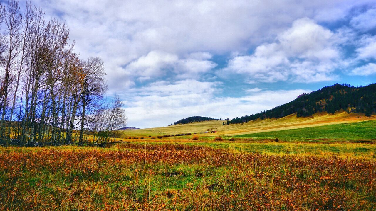 Countryside landscape against cloudy sky