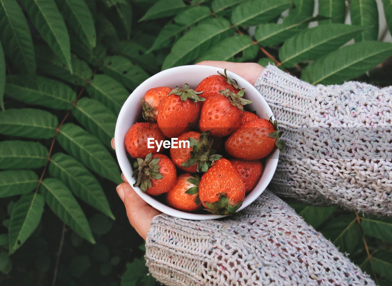Cropped hands holding strawberries in bowl