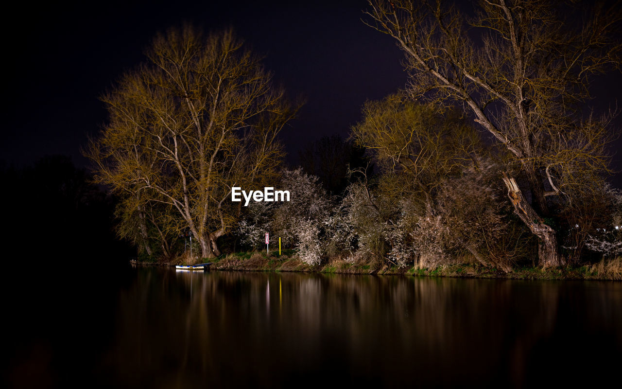 reflection, tree, night, nature, plant, evening, water, darkness, branch, beauty in nature, light, no people, dusk, tranquility, leaf, lake, autumn, scenics - nature, tranquil scene, flower, sky, outdoors, illuminated