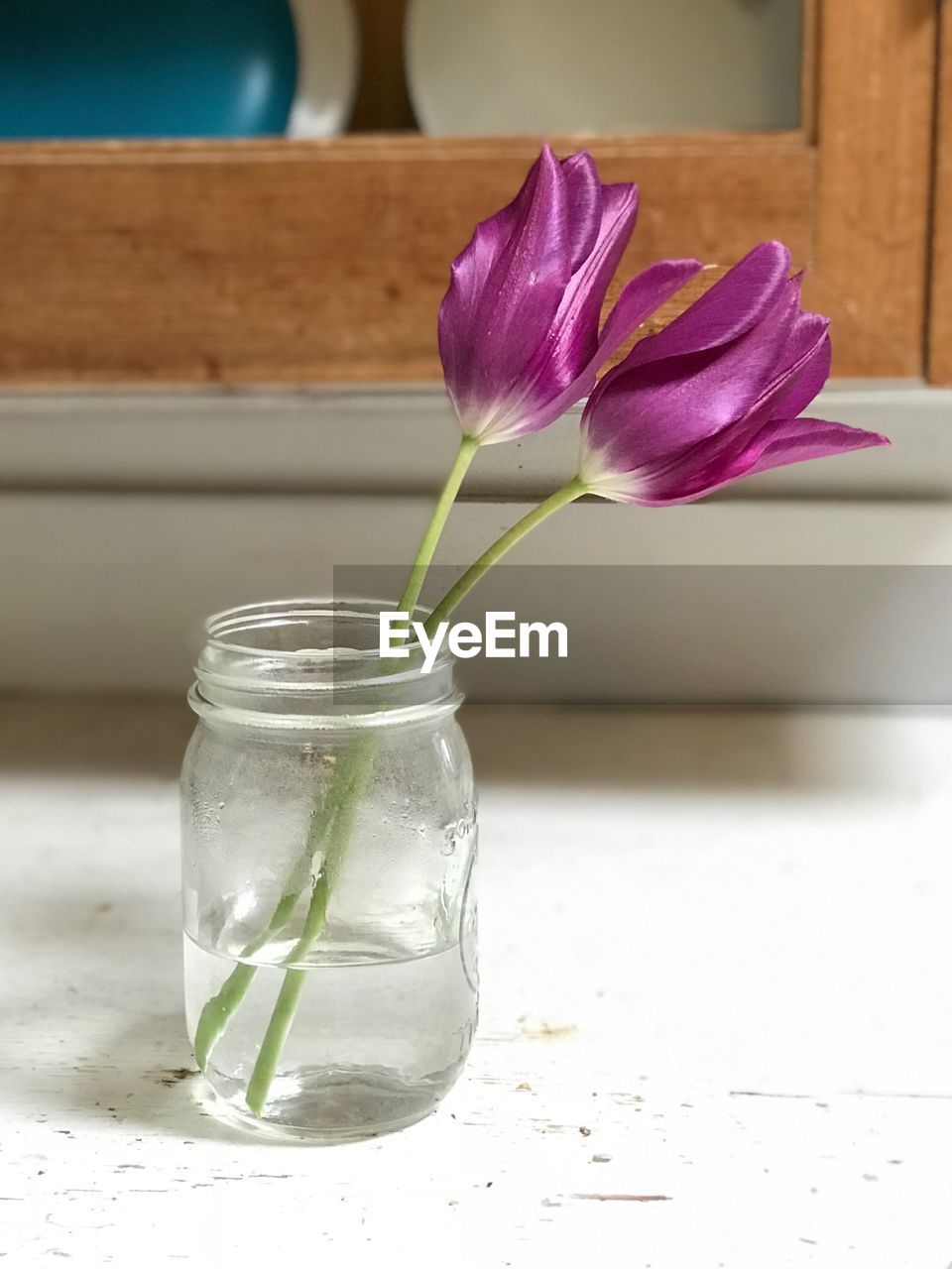 CLOSE-UP OF FLOWER IN GLASS VASE ON TABLE