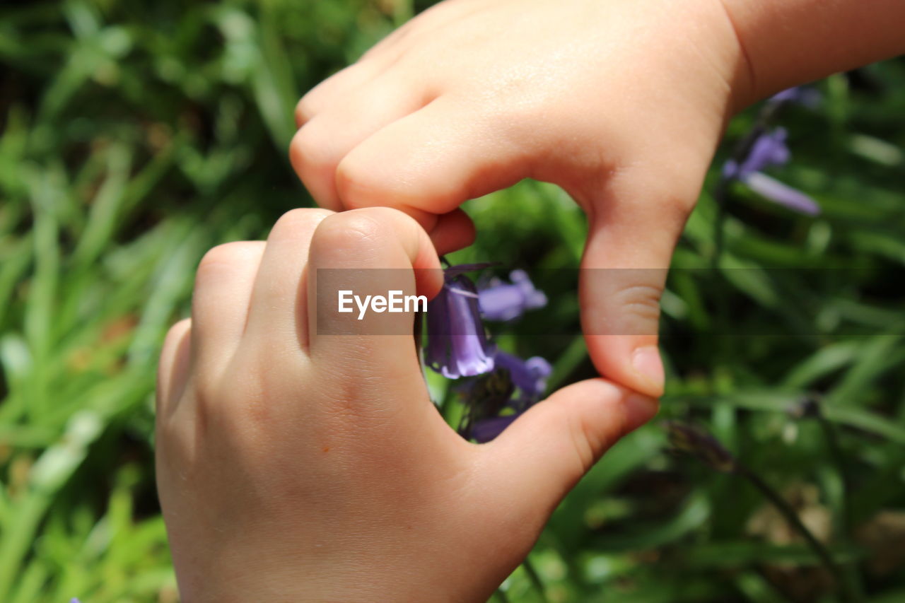 Cropped hands gesturing over flowers